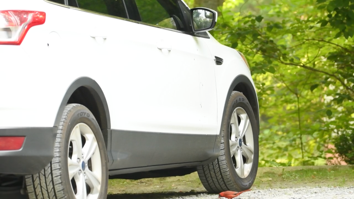 A white Ford SUV in a gravel parking lot with a red male cardinal standing next to the front wheel, having picked up a pebble with his beak